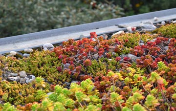 the cost of Sutton Weaver green roof installation